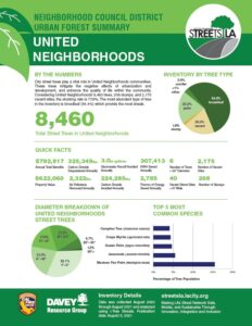 United Neighborhoods Neighborhood Council UNNC Tree information flyer