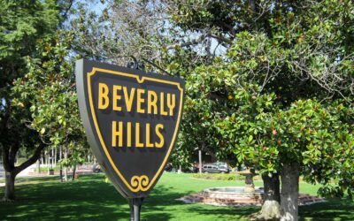 A Battle to Save Beverly Hills’ Shady Ficus Trees is Underway