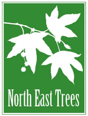 North East Trees Logo