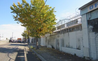 APA Journal article: Building Urban Resilience with Just Trees