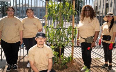 A Wonderful Day at Roots & Fruits Jefferson Park event