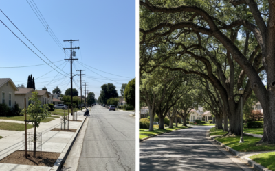 LA Looks at Inequity of Green Cover