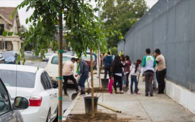 LA Urban Forest Equity Report